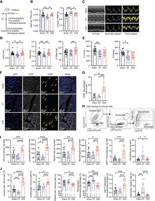 Elucidating the changes in the heterogeneity and function of radiation-induced cardiac macrophages using single-cell RNA sequencing